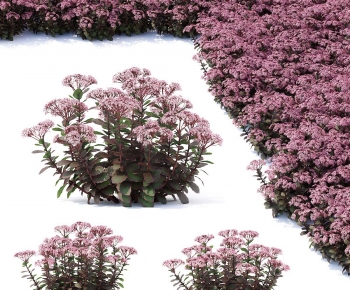 Modern Shrubbery-ID:776473056