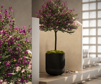 Modern Ground Green Plant Potted Plants-ID:348099953