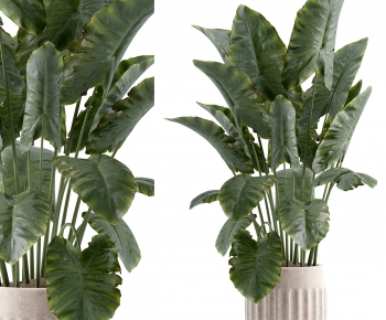 Modern Ground Green Plant Potted Plants-ID:397464049
