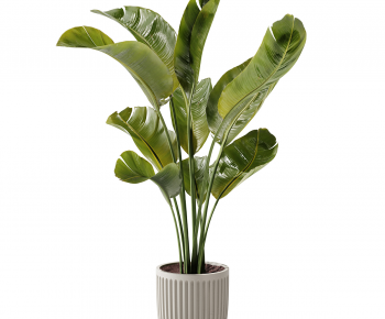 Modern Ground Green Plant Potted Plants-ID:143264065