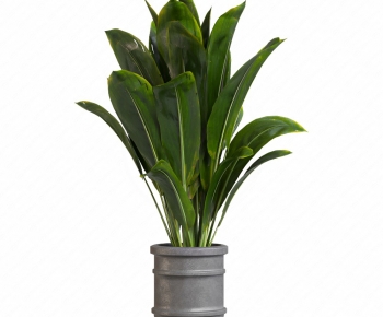 Modern Ground Green Plant Potted Plants-ID:782675986