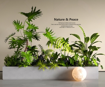 Modern Flower Bed, Flower Bowl, Flower Box-ID:129743105