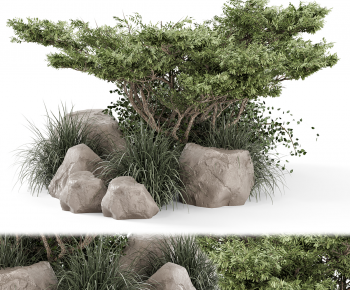 Modern Plant Pile-ID:747193102