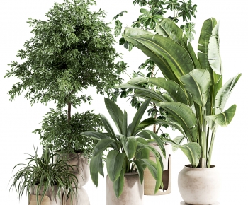 Modern Ground Green Plant Potted Plants-ID:852653039