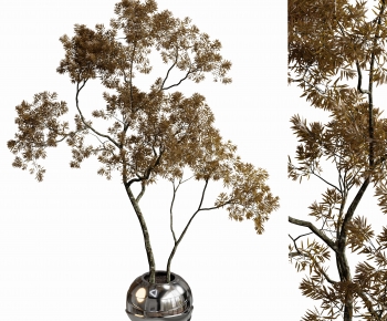 Modern Ground Green Plant Potted Plants-ID:422952892