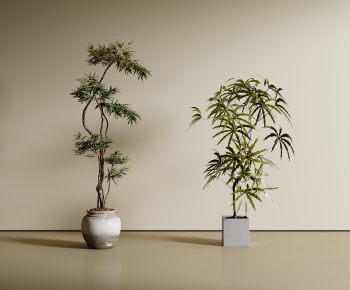 Modern Ground Green Plant Potted Plants-ID:137167939