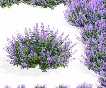 Modern Flowers And Grass-ID:286772974