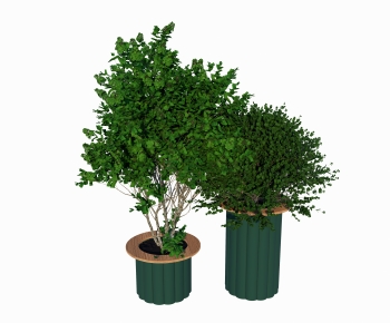 Modern Flower Bed, Flower Bowl, Flower Box-ID:515217076