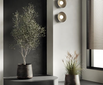 Modern Ground Green Plant Potted Plants-ID:650156021