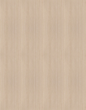 ModernWood Texture