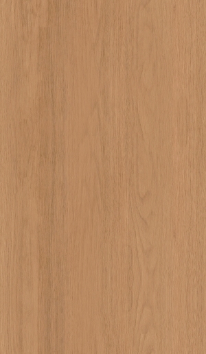 ModernWood Texture