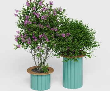 Modern Flower Bed, Flower Bowl, Flower Box-ID:580249077