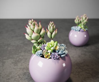 Modern Desktop Plant-ID:645131113