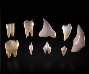 Modern Other-ID:508367063