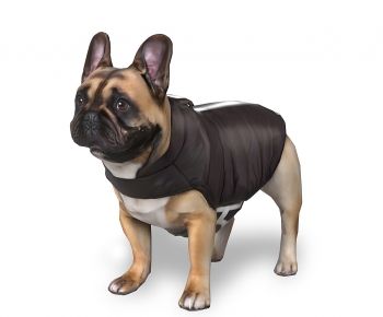 Modern Animal Dog-ID:190435898