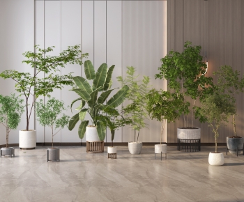 Modern Ground Green Plant Potted Plants-ID:504713061