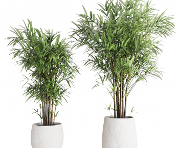 Modern Ground Green Plant Potted Plants-ID:922032127
