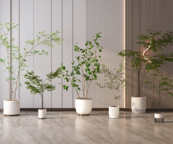 Modern Ground Green Plant Potted Plants-ID:235136038