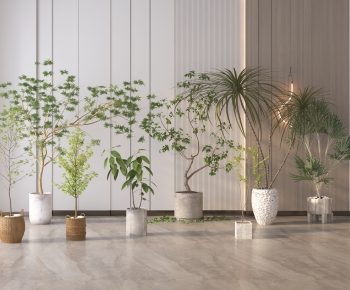 Modern Ground Green Plant Potted Plants-ID:250283968