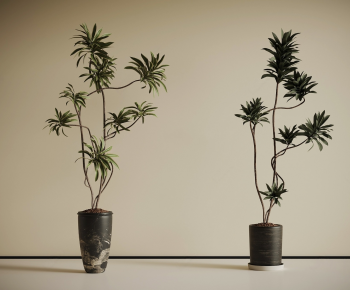 Modern Ground Green Plant Potted Plants-ID:177995927