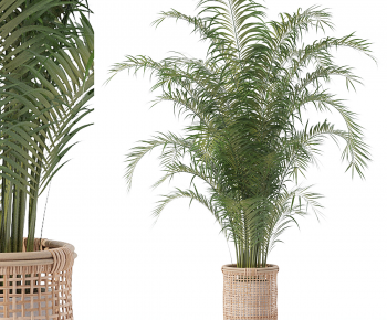 Modern Ground Green Plant Potted Plants-ID:900239999