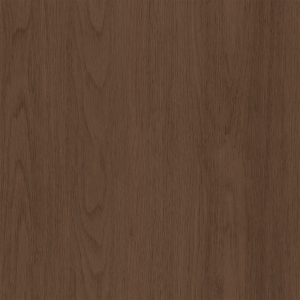 ModernWood Texture