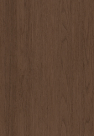 ModernWood Texture