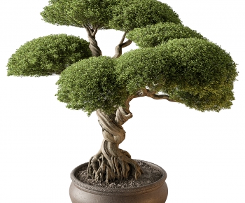 New Chinese Style Bonsai-ID:229229933