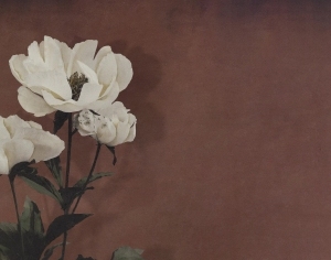 ModernBotanical Painting