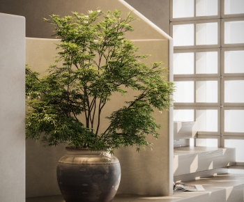 Modern Ground Green Plant Potted Plants-ID:254643926