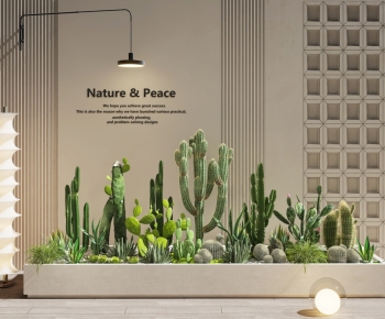 Modern Plant Landscaping-ID:594808104