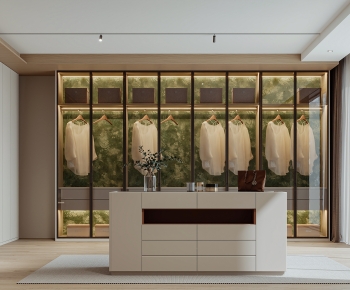 Modern Clothes Storage Area-ID:245733987