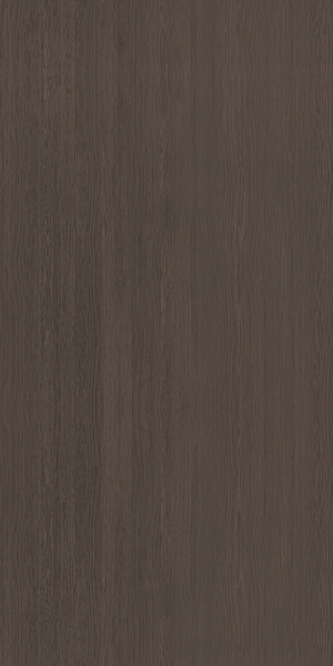 ModernWood Texture