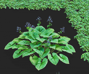 Modern Flowers And Grass-ID:424695972