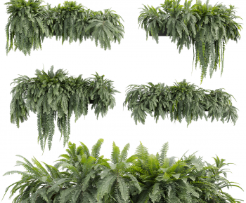 Modern Chlorophytum Comosum-ID:748892075