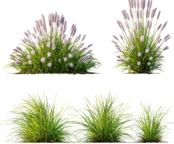 Modern Flowers And Grass-ID:929610752