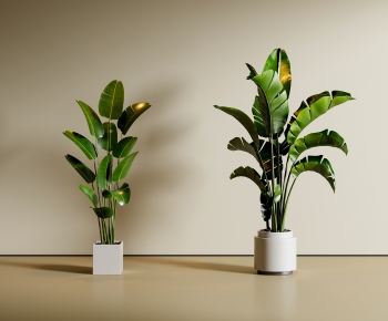 Modern Ground Green Plant Potted Plants-ID:707008862