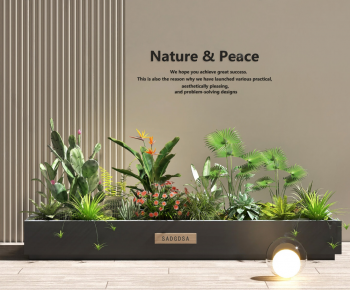 Modern Flower Bed, Flower Bowl, Flower Box-ID:965471036