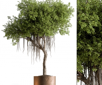 Modern Ground Green Plant Potted Plants-ID:746164081