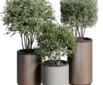 Modern Ground Green Plant Potted Plants-ID:910492903