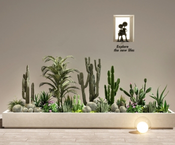 Modern Flower Bed, Flower Bowl, Flower Box-ID:156893013