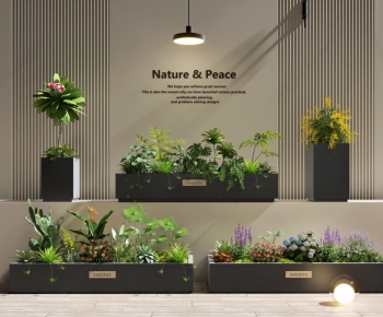 Modern Flower Bed, Flower Bowl, Flower Box-ID:644798998