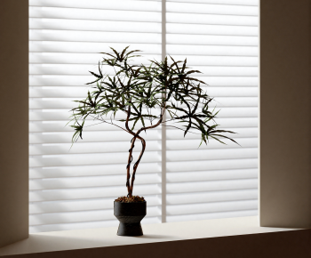 Modern Potted Green Plant-ID:906502012