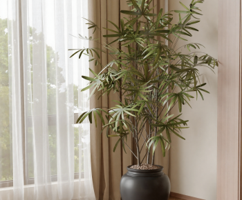 Modern Ground Green Plant Potted Plants-ID:206599959