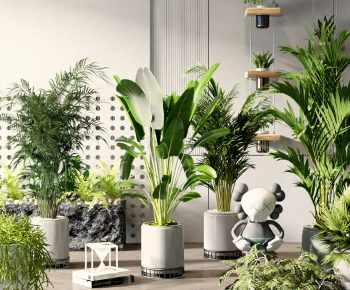 Modern Ground Green Plant Potted Plants-ID:111036065