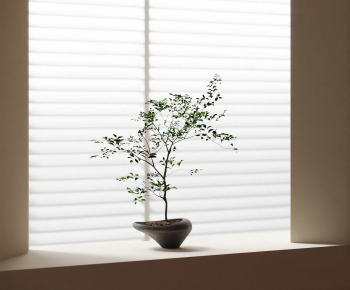 Modern Potted Green Plant-ID:222692972