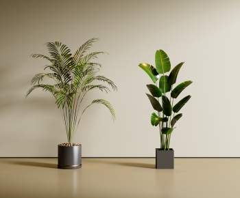 Modern Ground Green Plant Potted Plants-ID:270709044