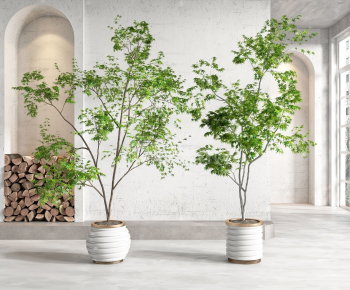 Modern Ground Green Plant Potted Plants-ID:783617974