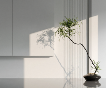 Modern Ground Green Plant Potted Plants-ID:536179074