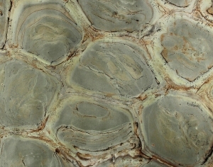 ModernStone Brick Wall